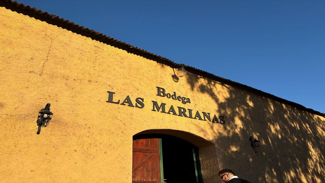 Vinedos de Bodega Las Marianas